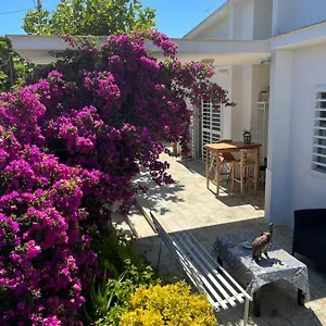 Maison d'hôtes Il Platano Di Nathaly, Bari